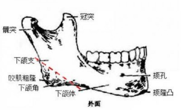 attachments-2020-05-UQzcjydD5ecde480e3ed9.jpg