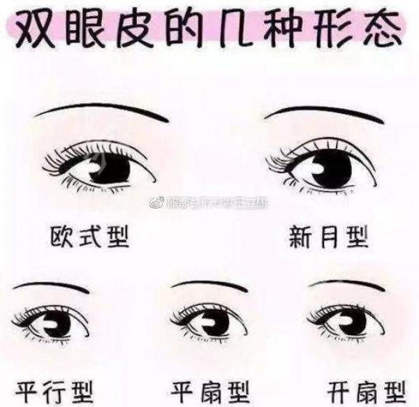 开扇形双眼皮桃花眼