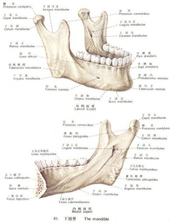 attachments-2020-12-DF8nHCD35fdc25bc43f30.jpeg