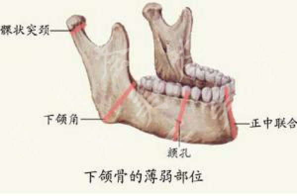 attachments-2021-08-ZHX1sPXY6123bcb890f56.jpeg